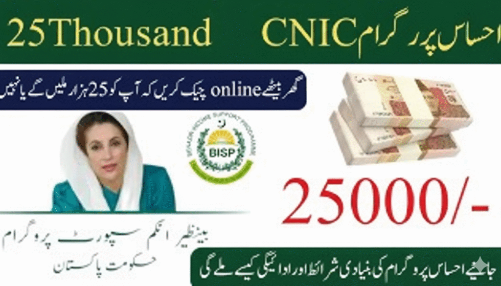 8171 Ehsaas Program CNIC Check Online 2025 – Complete Guide 2 Gemini Generated Image dsju6ydsju6ydsju