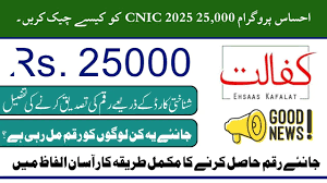 Ehsaas Program 8171 – CNIC Check, Registration & Updates 3 download 1