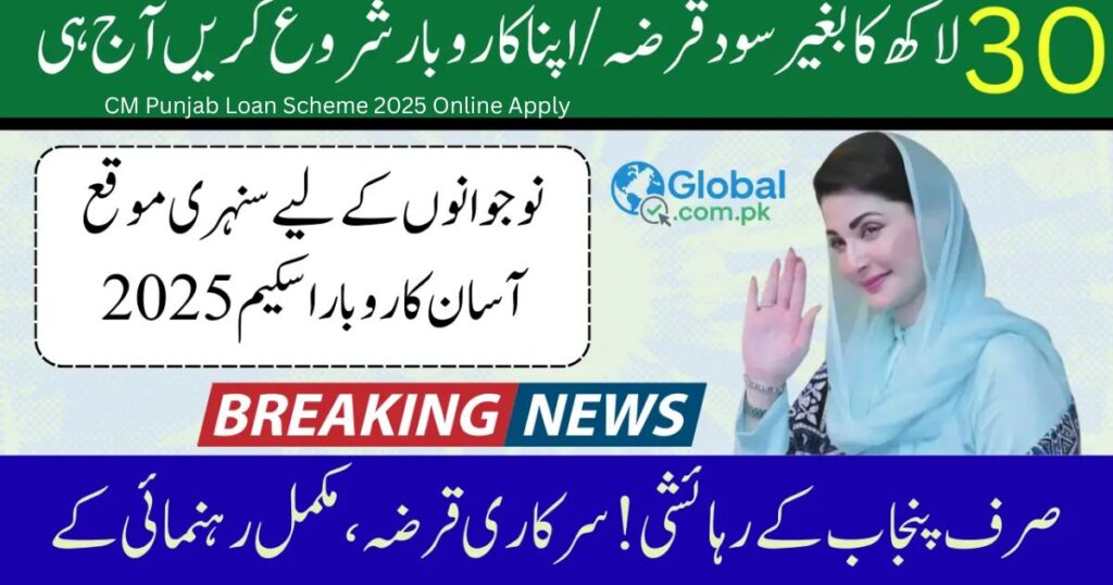 CM Punjab Loan Scheme 2025 Online Apply 5 CM Punjab Loan Scheme 2025 Online Apply 5